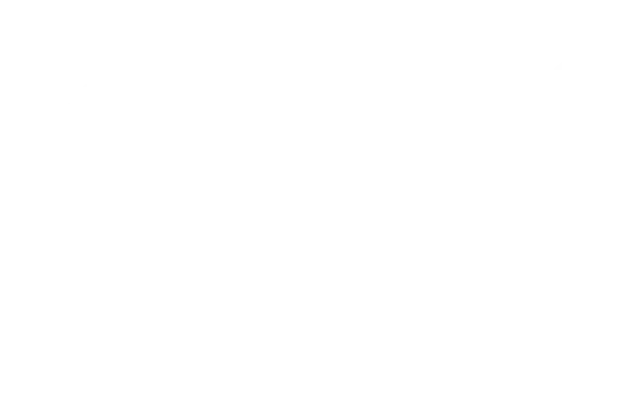 SEO for Everyday